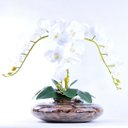Ver imagem 3 de Arranjo Centro de Mesa de Orquídea Branca Toque Real Nevada