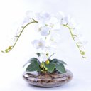Ver imagem 1 de Arranjo Centro de Mesa de Orquídea Branca Toque Real Nevada