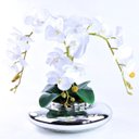 Ver imagem 2 de Arranjo de Orquídea Branca Toque Real em Terrário Espelhado