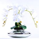 Ver imagem 1 de Arranjo de Orquídea Branca Toque Real em Terrário Espelhado