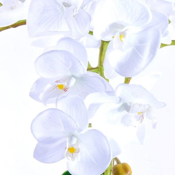 Arranjo de Orquídea Branca Toque Real em Terrário Espelhado - 3