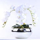 Ver imagem 1 de Arranjo de Orquídea Branca Toque Real Diamond