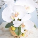 Ver imagem 6 de Arranjo de Flores Artificiais Orquídeas Silicone Brancas no Vaso Dourado