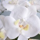 Ver imagem 4 de Arranjo de Flores Artificiais Orquídeas Silicone Brancas no Vaso Dourado