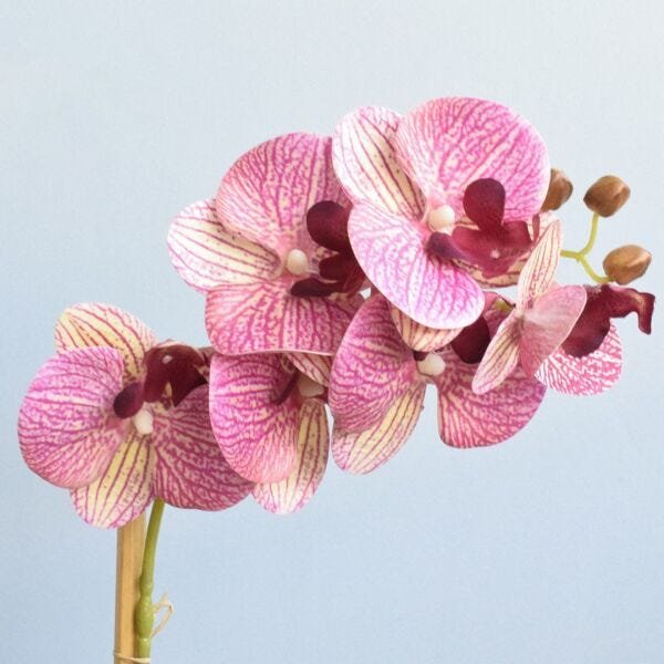 Arranjo de Orquídea Rosa 3D No Vaso Rose Gold Pequeno | Linha Permanente Formosinha - 5