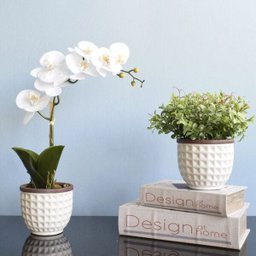 Arranjo de Flor Artificial Orquídea Branca no Vaso de Cerâmica Branco | Linha Permanente - 6