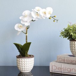 Arranjo de Flor Artificial Orquídea Branca no Vaso de Cerâmica Branco | Linha Permanente - 4