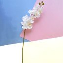 Ver imagem 1 de Kit 9 Orquídeas Artificiais Brancas Aveludadas 95 cm | Formosinha