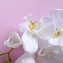 Ver imagem 3 de Kit 9 Orquídeas Artificiais Brancas Aveludadas 95 cm | Formosinha
