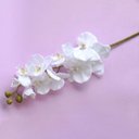 Ver imagem 2 de Kit 9 Orquídeas Artificiais Brancas Aveludadas 95 cm | Formosinha