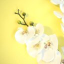 Ver imagem 1 de Orquídea Artificial Phalaenopsis Toque Real Coat Branca 63 cm Florarte Vol. 9 Kit 24 UN |