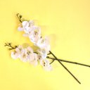 Ver imagem 3 de Orquídea Artificial Phalaenopsis Toque Real Coat Branca 63 cm Florarte Vol. 9 Kit 24 UN |