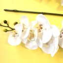 Ver imagem 4 de Orquídea Artificial Phalaenopsis Toque Real Coat Branca 63 cm Florarte Vol. 9 Kit 24 UN |
