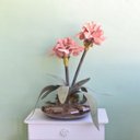 Ver imagem 4 de Arranjos de Flores Artificiais Amarílis Rosa no Vaso Transparente | Linha Permanente Formosinha