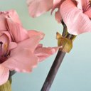 Ver imagem 3 de Arranjos de Flores Artificiais Amarílis Rosa no Vaso Transparente | Linha Permanente Formosinha