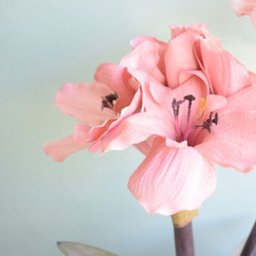 Arranjos de Flores Artificiais Amarílis Rosa no Vaso Transparente | Linha Permanente Formosinha - 7 Arranjos de Flores Artificiais Amarílis Rosa no Vaso Transparente | Linha Permanente Formosinha - 7