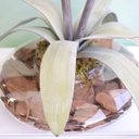 Ver imagem 2 de Arranjos de Flores Artificiais Amarílis Rosa no Vaso Transparente | Linha Permanente Formosinha