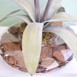 Arranjos de Flores Artificiais Amarílis Rosa no Vaso Transparente | Linha Permanente Formosinha - 2 Arranjos de Flores Artificiais Amarílis Rosa no Vaso Transparente | Linha Permanente Formosinha - 2