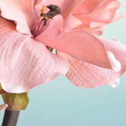 Arranjos de Flores Artificiais Amarílis Rosa no Vaso Transparente | Linha Permanente Formosinha - 5 Arranjos de Flores Artificiais Amarílis Rosa no Vaso Transparente | Linha Permanente Formosinha - 5