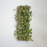 Kit Atacado com 6 Treliças de Madeira com Folhagem para Muro Verde Permanente - 2