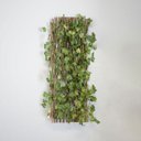 Ver imagem 2 de Kit Atacado com 6 Treliças de Madeira com Folhagem para Muro Verde Permanente