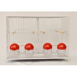 Gaiola Criadeira para Canário Belga e Roller Zincada - 2