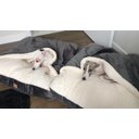 Ver imagem 4 de Cama para Cachorros e Gatos Cave com Coberta G 70x70:Avelã com Marfim Quadrada