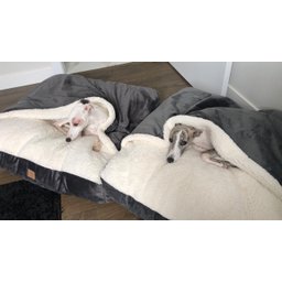 Cama para Cachorros e Gatos Cave com Coberta G 70x70:Avelã com Marfim Quadrada - 4