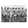 Placa Decorativa - Quadro - Friends - Seriado - (h261) - 1