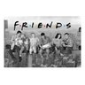 Placa Decorativa Quadro Friends Seriado (gh261) - 1