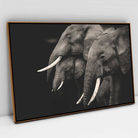 Quadro Decorativo em Canvas Elefantes TaColado Moldura Flutuante 4,5cm Freijó 120 x 80cm
