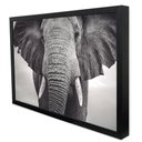Ver imagem 3 de Quadro Decorativo Elefante preto e Branco em Moldura Caixa Tacolado Moldura Trad 1cm Preta sem Vidro