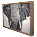 Ver imagem 4 de Quadro Decorativo Elefante preto e Branco em Moldura Caixa Tacolado Moldura Trad 1cm Preta sem Vidro