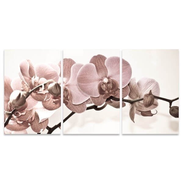 Quadro Flores Orquídeas Bege Grande 180x90 Para Sala Recepção Apê em Canvas Conjunto 3 Peças - 3