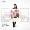 Ver imagem 4 de Quadro Flores Orquídeas Bege Grande 180x90 para Sala Recepção Apê em Canvas Conjunto 3 Peças