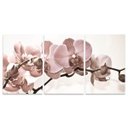 Ver imagem 3 de Quadro Flores Orquídeas Bege Grande 180x90 para Sala Recepção Apê em Canvas Conjunto 3 Peças