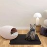 Tapete Higienico Coletor de Areia Gato Pet Animais Anti Sujeira Chao Casa Limpo Petshop Ab.midia Su- - 15