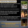 Fio de Luz 50cm Verde 100M com Lâmpadas LED 127V Pra Decorar - 6