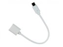 Ver imagem 3 de Cabo Adaptador Otg - Usb Fêmea Para Tipo C - Flex