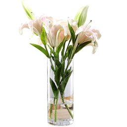 Vaso Vidro Cilindro 40x20cm Arranjos, Flores, Festas, Decoração - 4