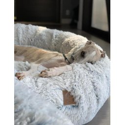 Cama Nuvem Cachorros e Gatos Pelúcia Luxo M 60x60:Branco com Azul - 4