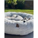 Ver imagem 1 de Cama Nuvem Cachorros e Gatos Pelúcia Luxo M 60x60:Branco com Azul