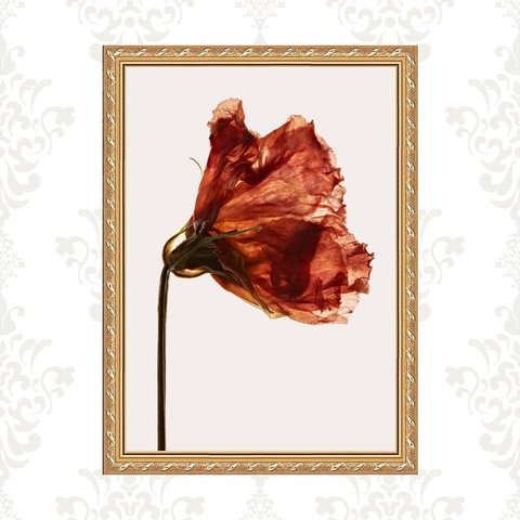 Quadro Moldura Dourada Flor Alaranjada 45x34cm:com Vidro