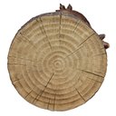 Ver imagem 5 de M1 MESA DINOSSAURO DE RESINA P