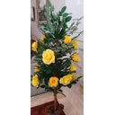 Ver imagem 1 de Planta Artificial Roseira Chilena Amarela 1,30 metros de altura