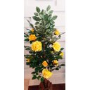 Ver imagem 4 de Planta Artificial Roseira Chilena Amarela 1,30 metros de altura