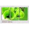 Quadro Decorativo Flores Verdes 45x96 - 2
