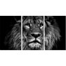 Quadro Decorativo Preto E Branco Leão Decoração Quarto - 1
