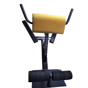 Banco Lombar Musculação Profissional Academia