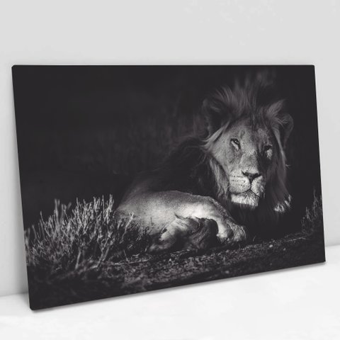 Quadro Decorativo em Canvas Leão Preto e Branco - Moldura Madeira - 90 x 60cm